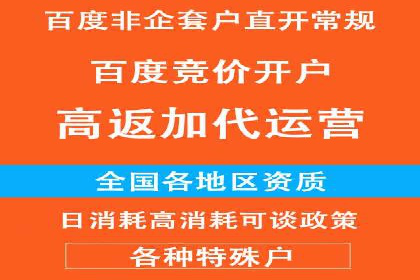 SEM推广实战：成功案例剖析